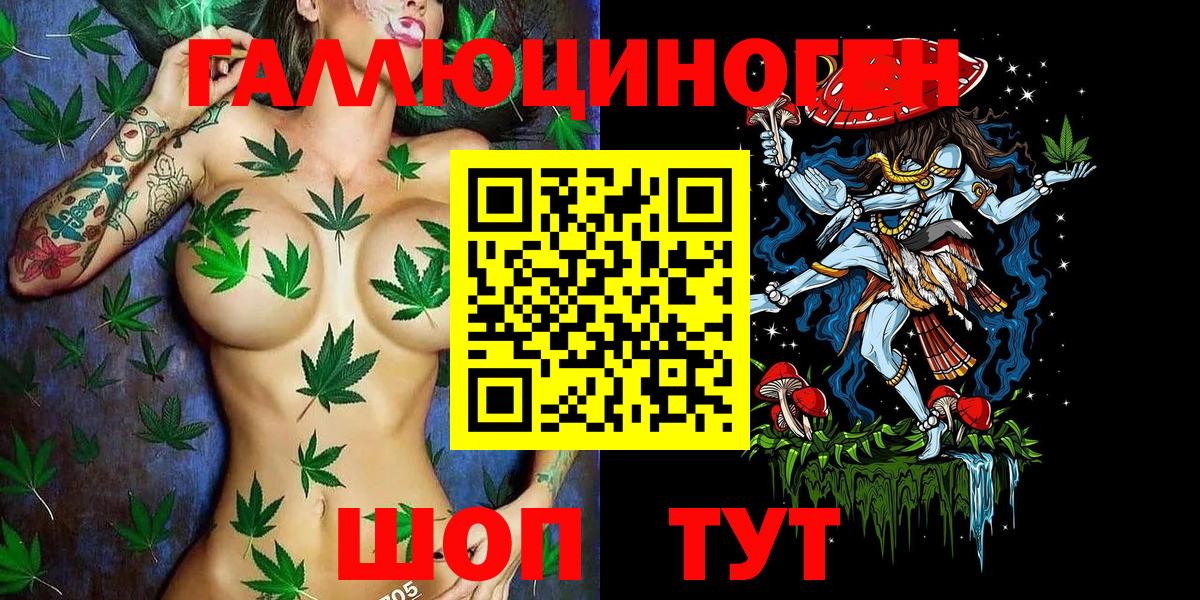 Кизилюрт  Псилоцибиновые грибы MAGIC MUSHROOMS  Вход с VPN 