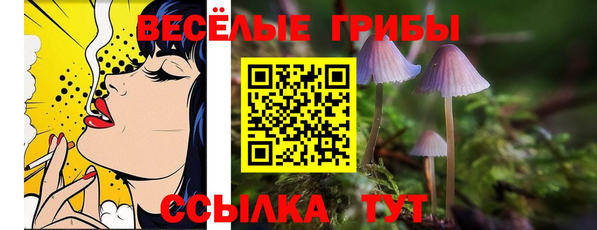 Псилоцибиновые грибы ЛСД Кизилюрт